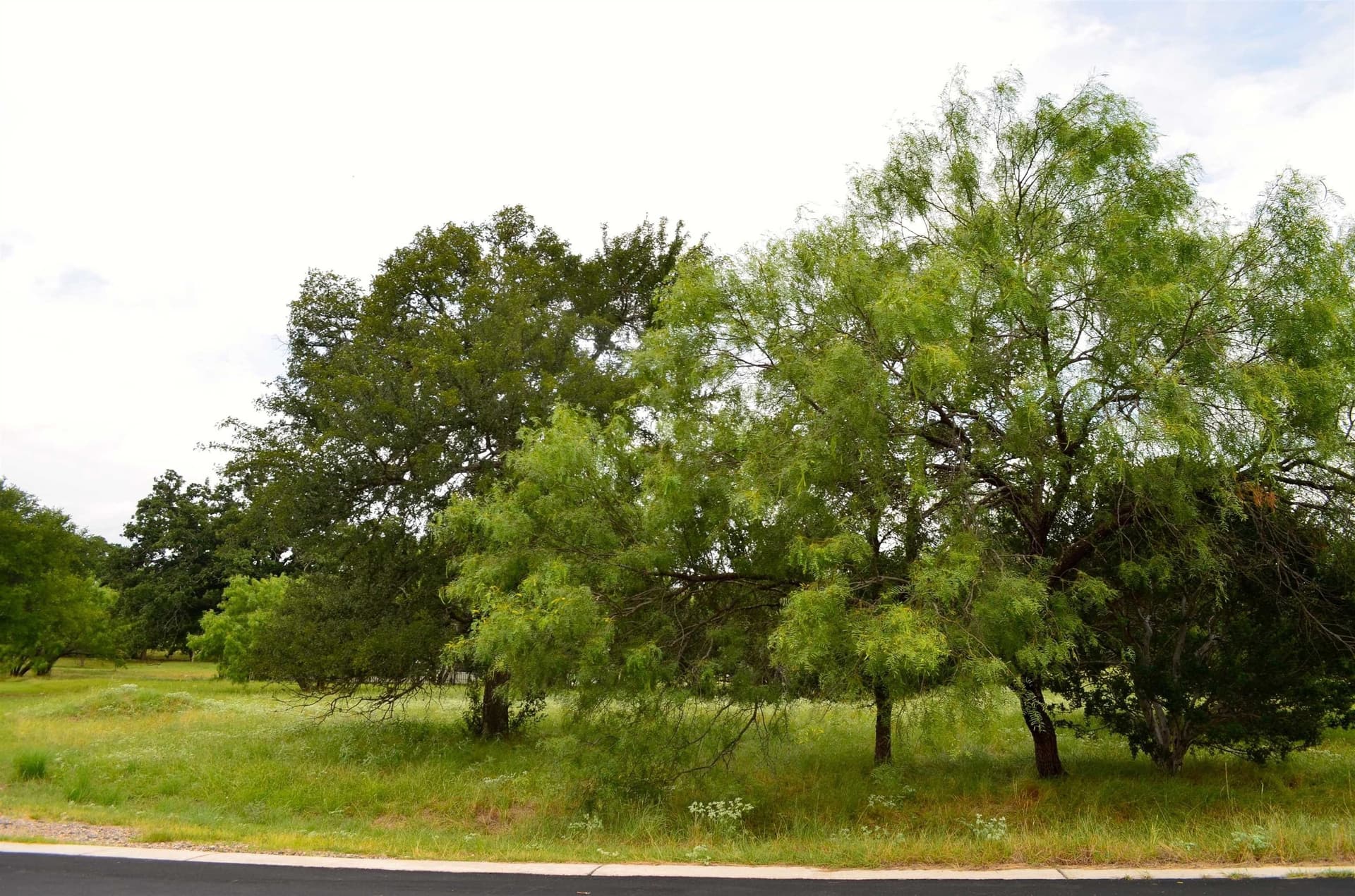 0.26 acres in Llano County - photo 19