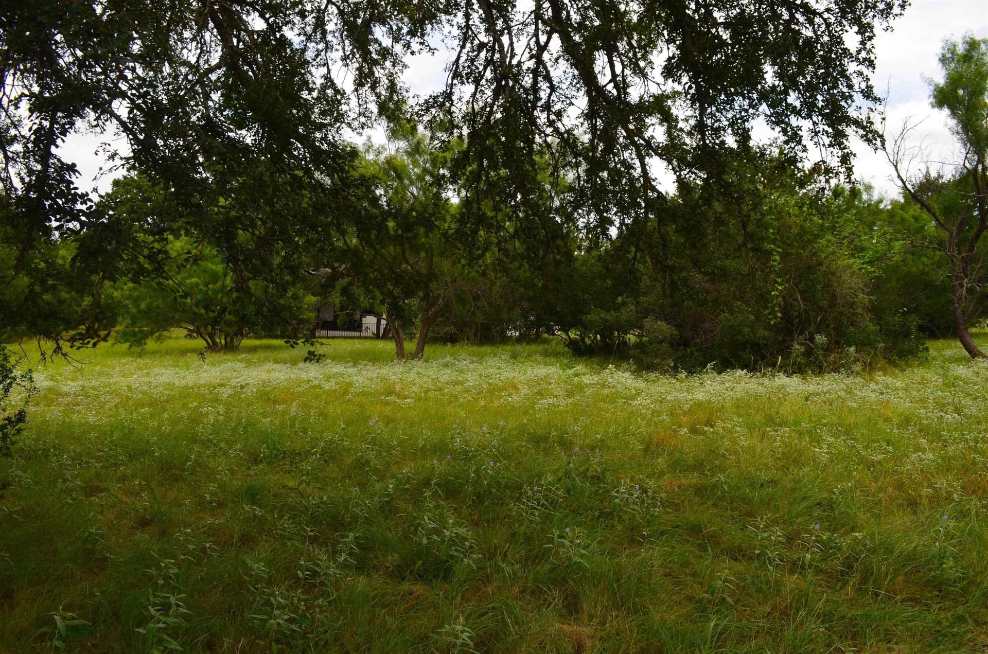 0.26 acres in Llano County gallery image 4