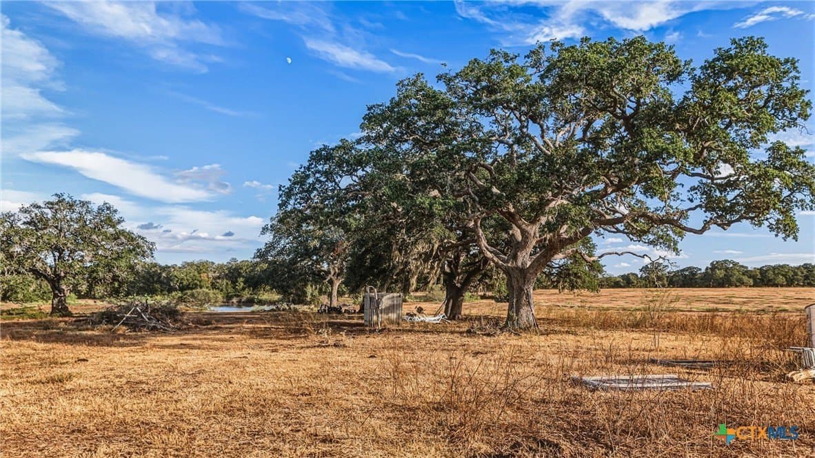 100.6 acres in DeWitt County - photo 18