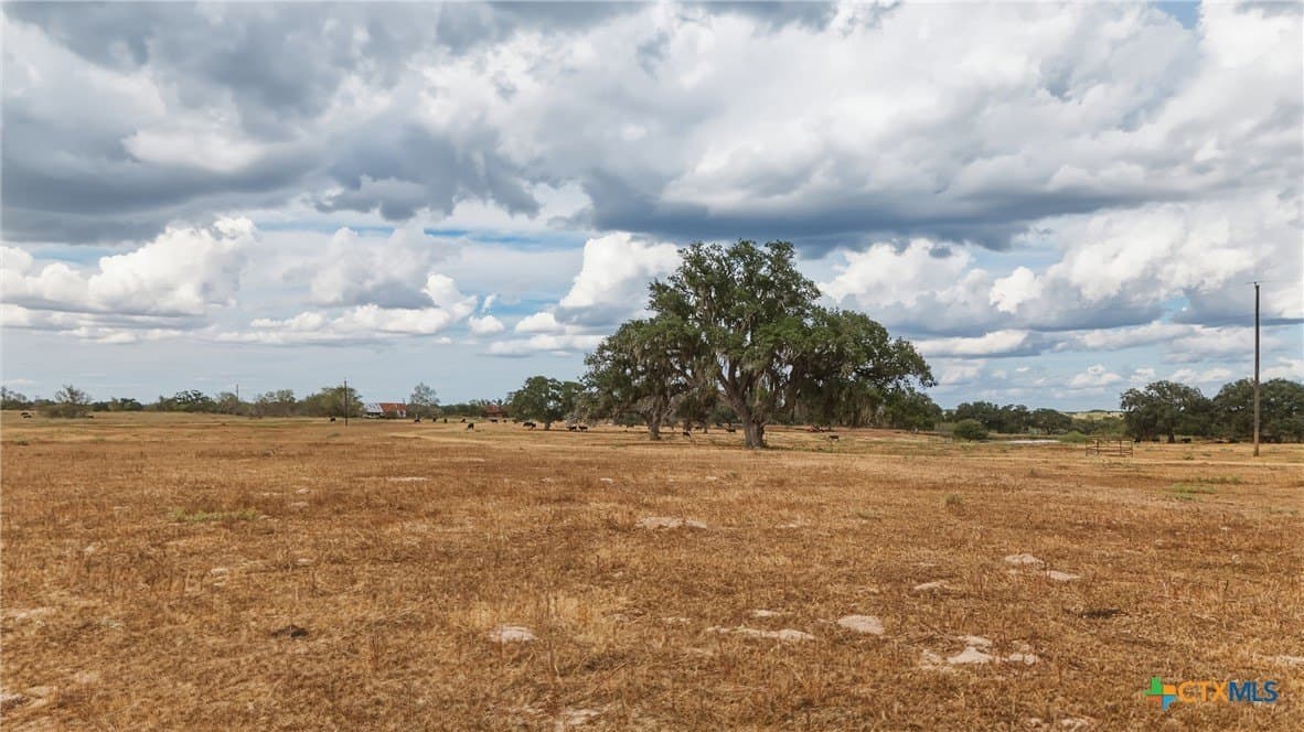 100.6 acres in DeWitt County - photo 29