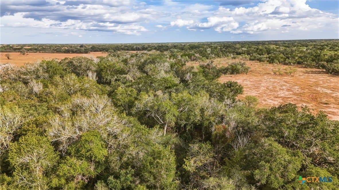 100.6 acres in DeWitt County - photo 16