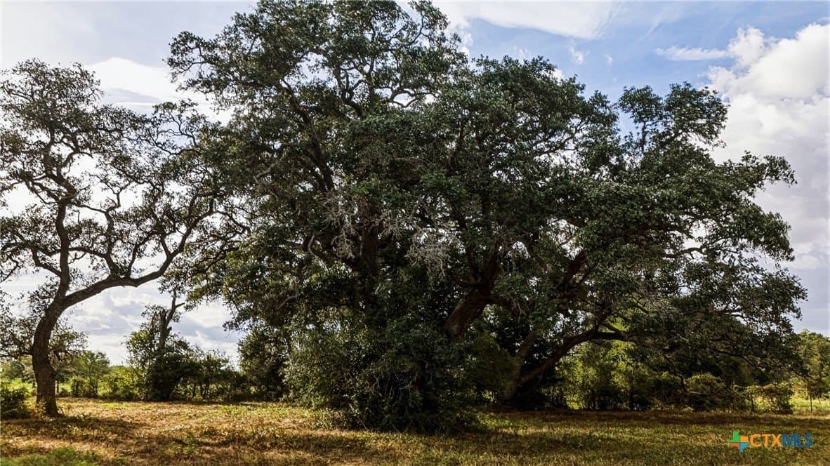 100.6 acres in DeWitt County - photo 8