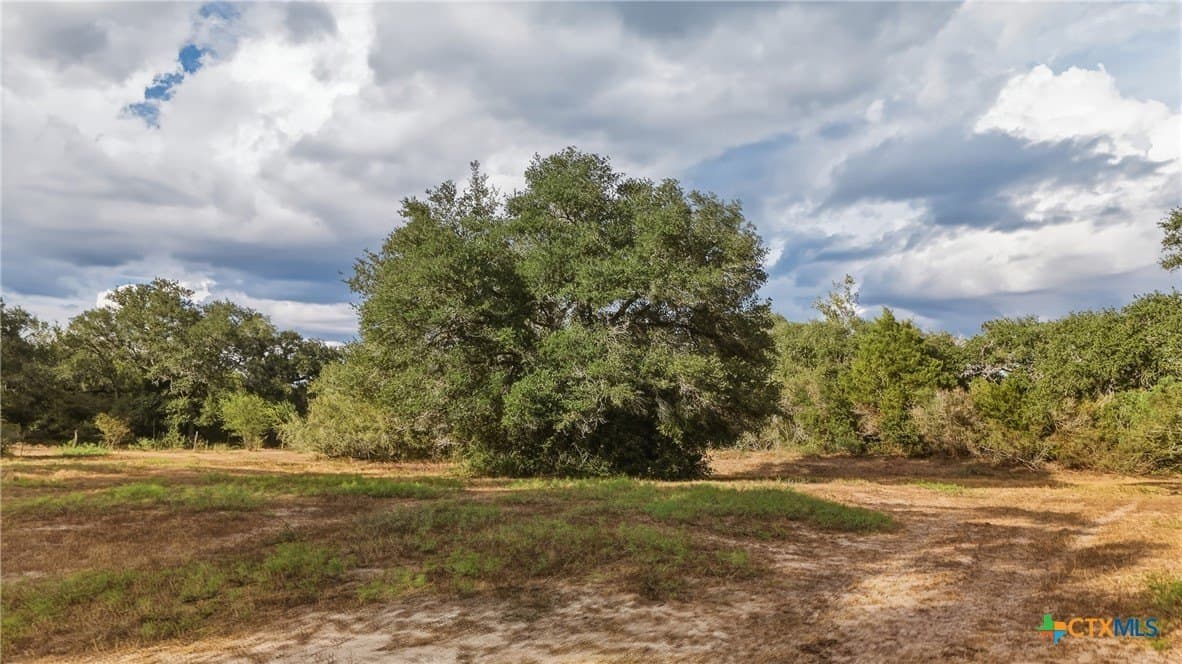 100.6 acres in DeWitt County - photo 17