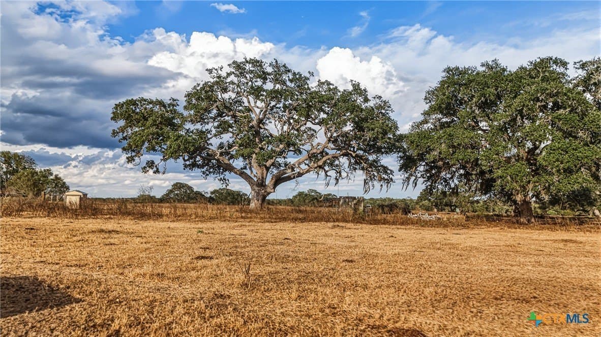 100.6 acres in DeWitt County - photo 24