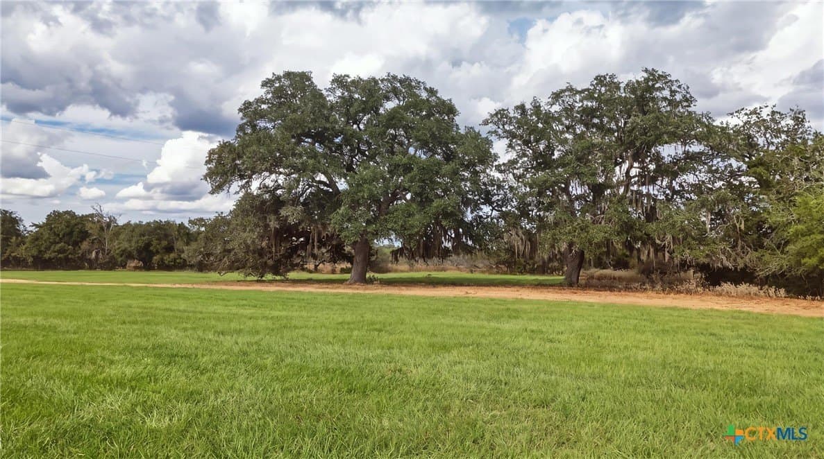 100.6 acres in DeWitt County - photo 6