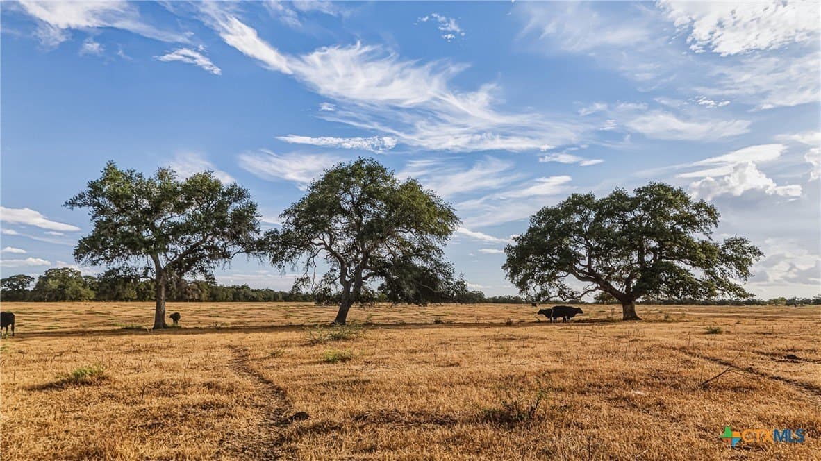 100.6 acres in DeWitt County - photo 23