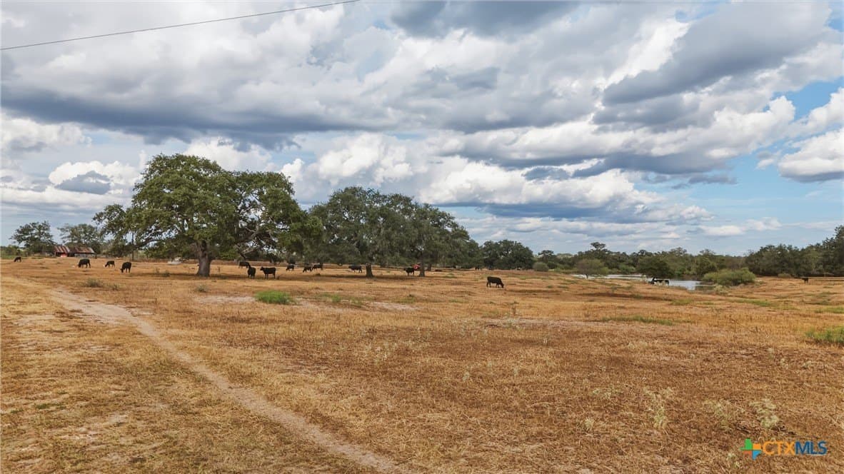 100.6 acres in DeWitt County - photo 25