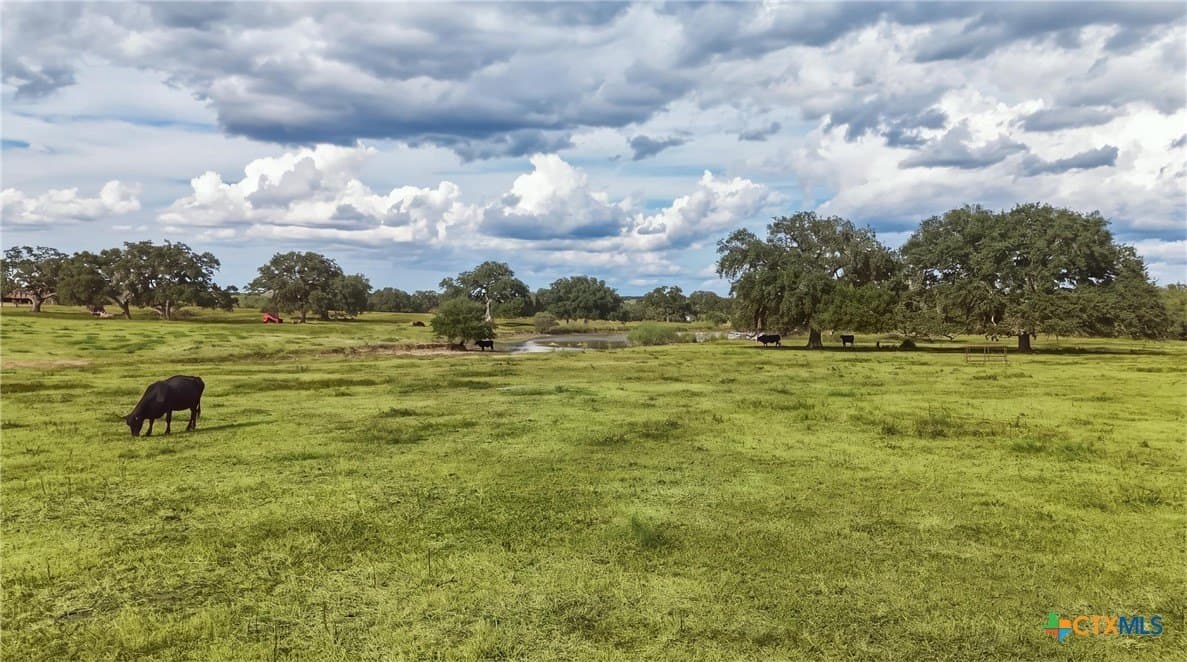 100.6 acres in DeWitt County - photo 4