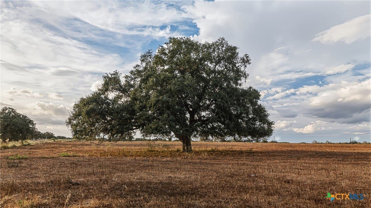 100.6 acres in DeWitt County - photo 21