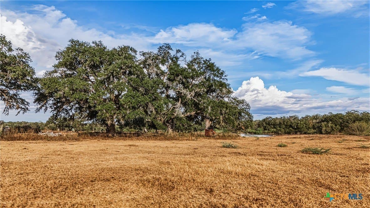 100.6 acres in DeWitt County - photo 31