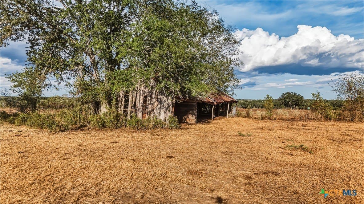 100.6 acres in DeWitt County - photo 15