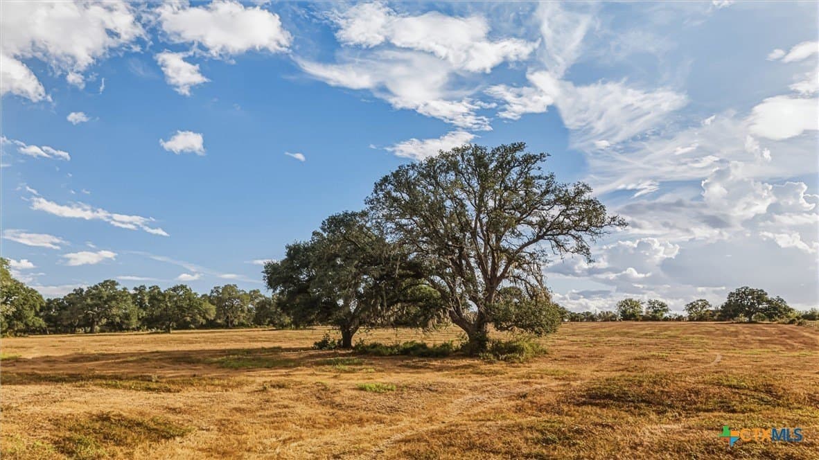 100.6 acres in DeWitt County - photo 10