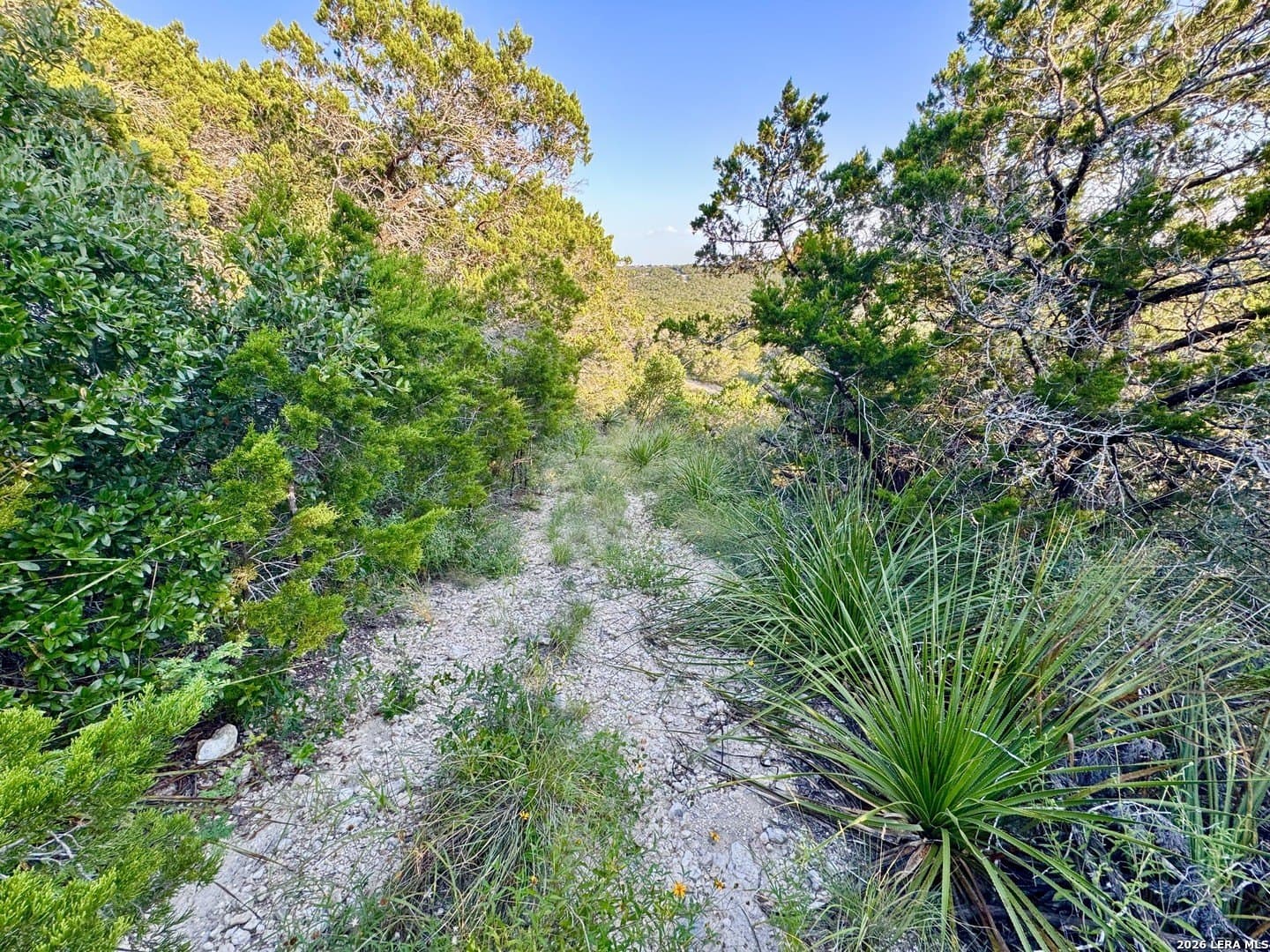 4.88 acres in Medina County - photo 9