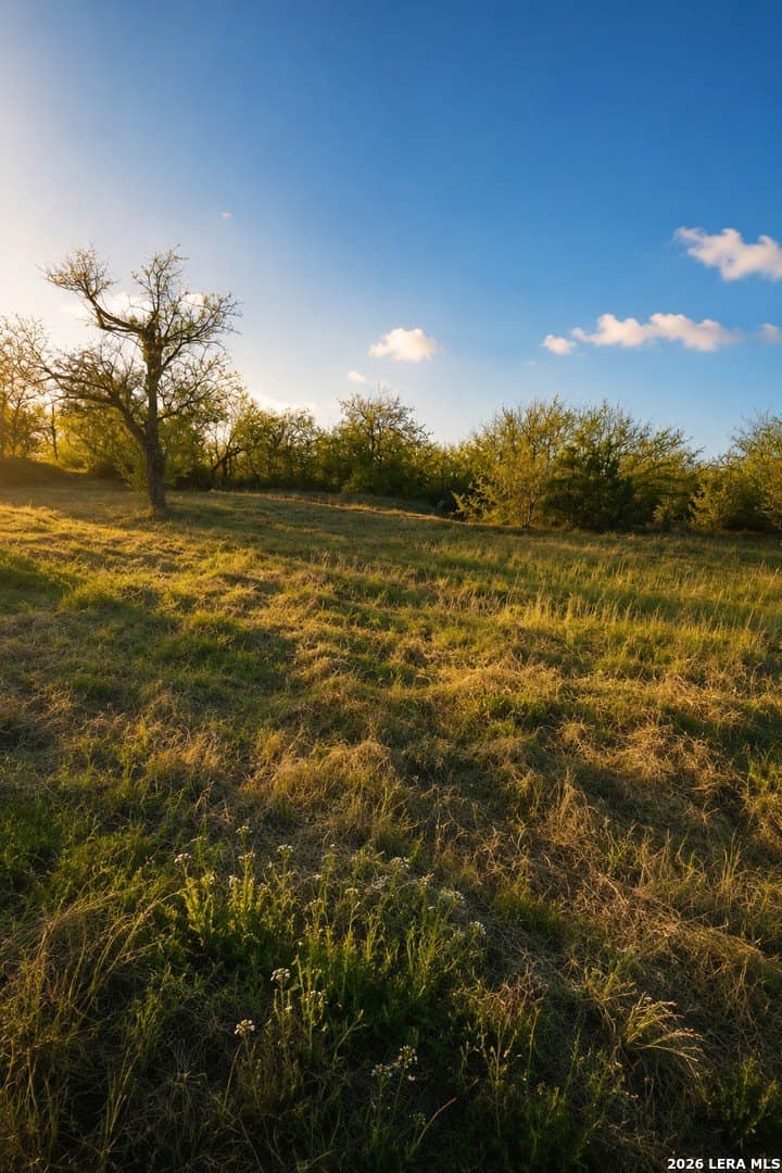 0.22 acres in Bexar County gallery image 4