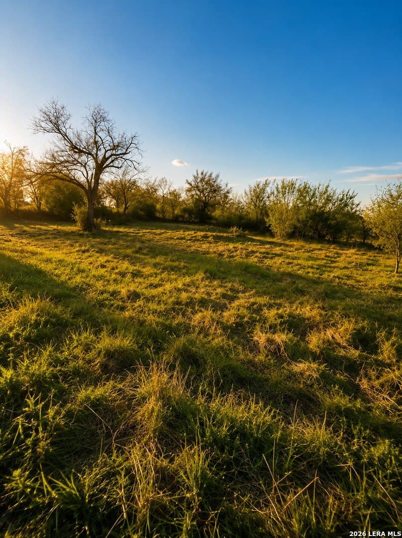 0.22 acres in Bexar County gallery image 2