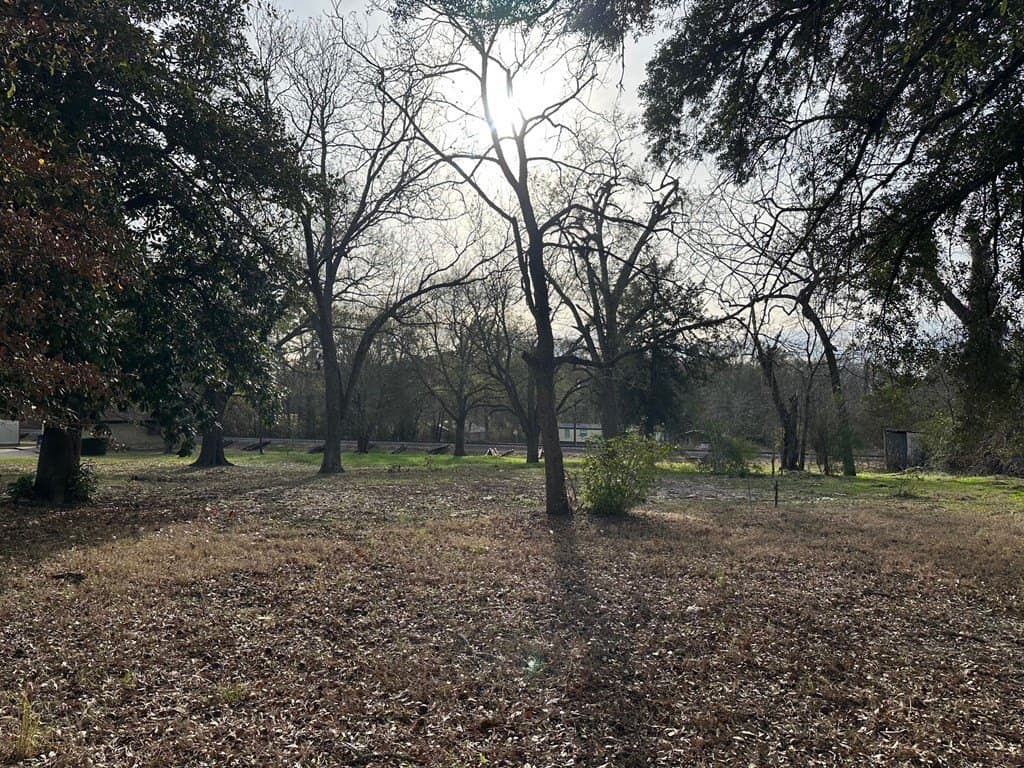 0.73 acres in Texas County gallery image 4