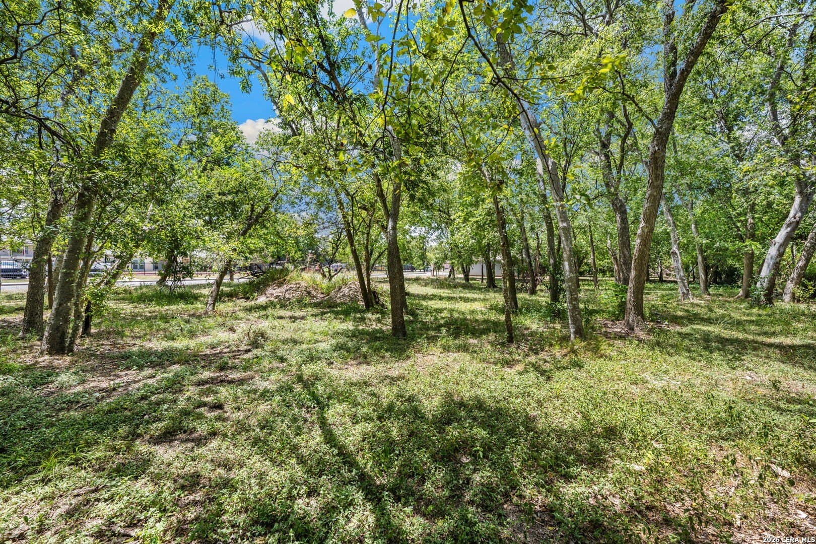 0.14 acres in Bexar County - photo 6