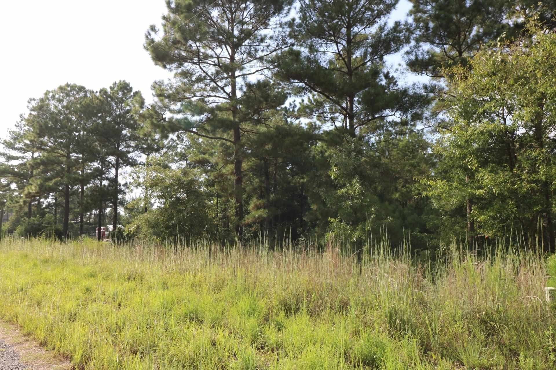 3.6 acres in Texas County gallery image 2