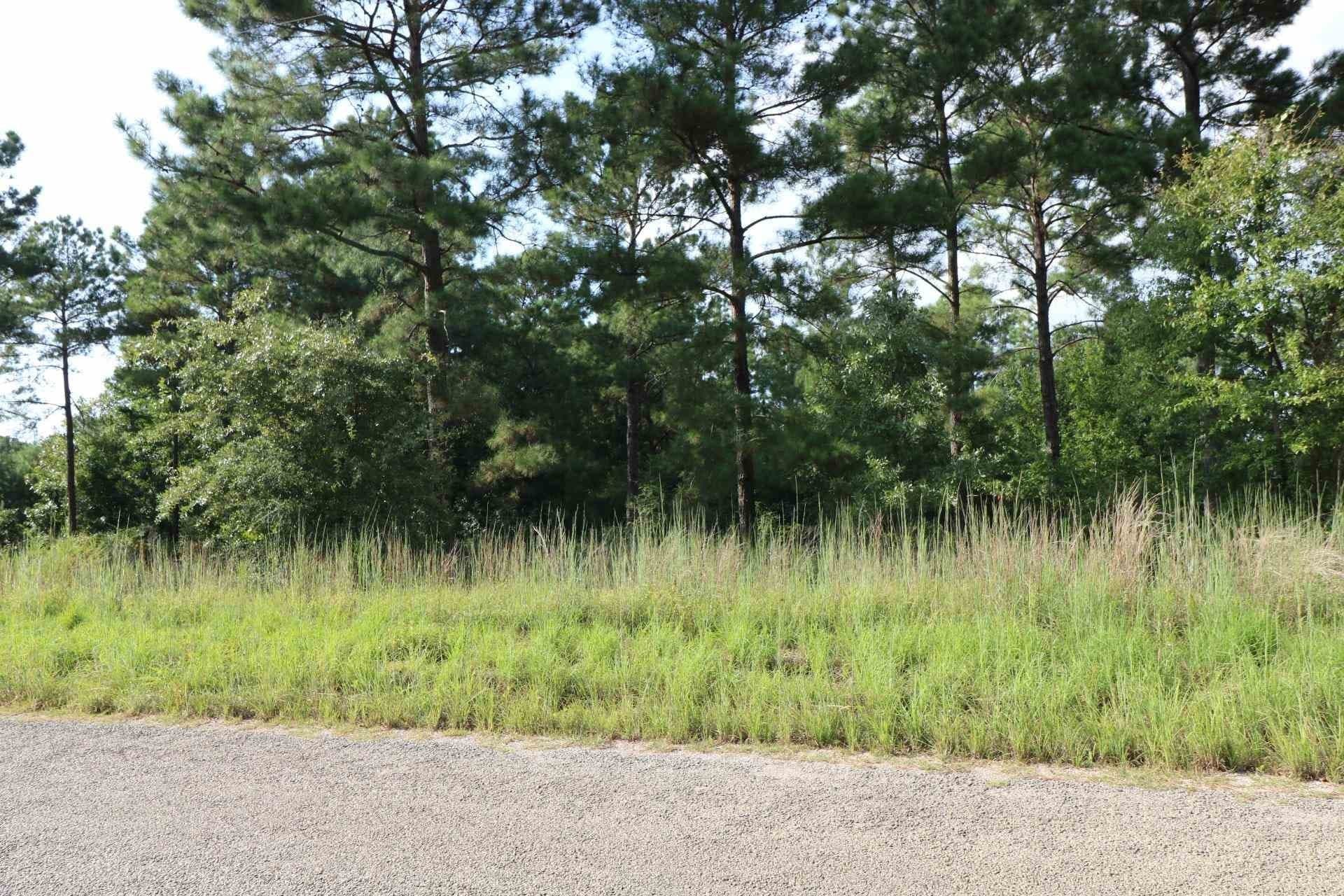3.6 acres in Texas County gallery image 3