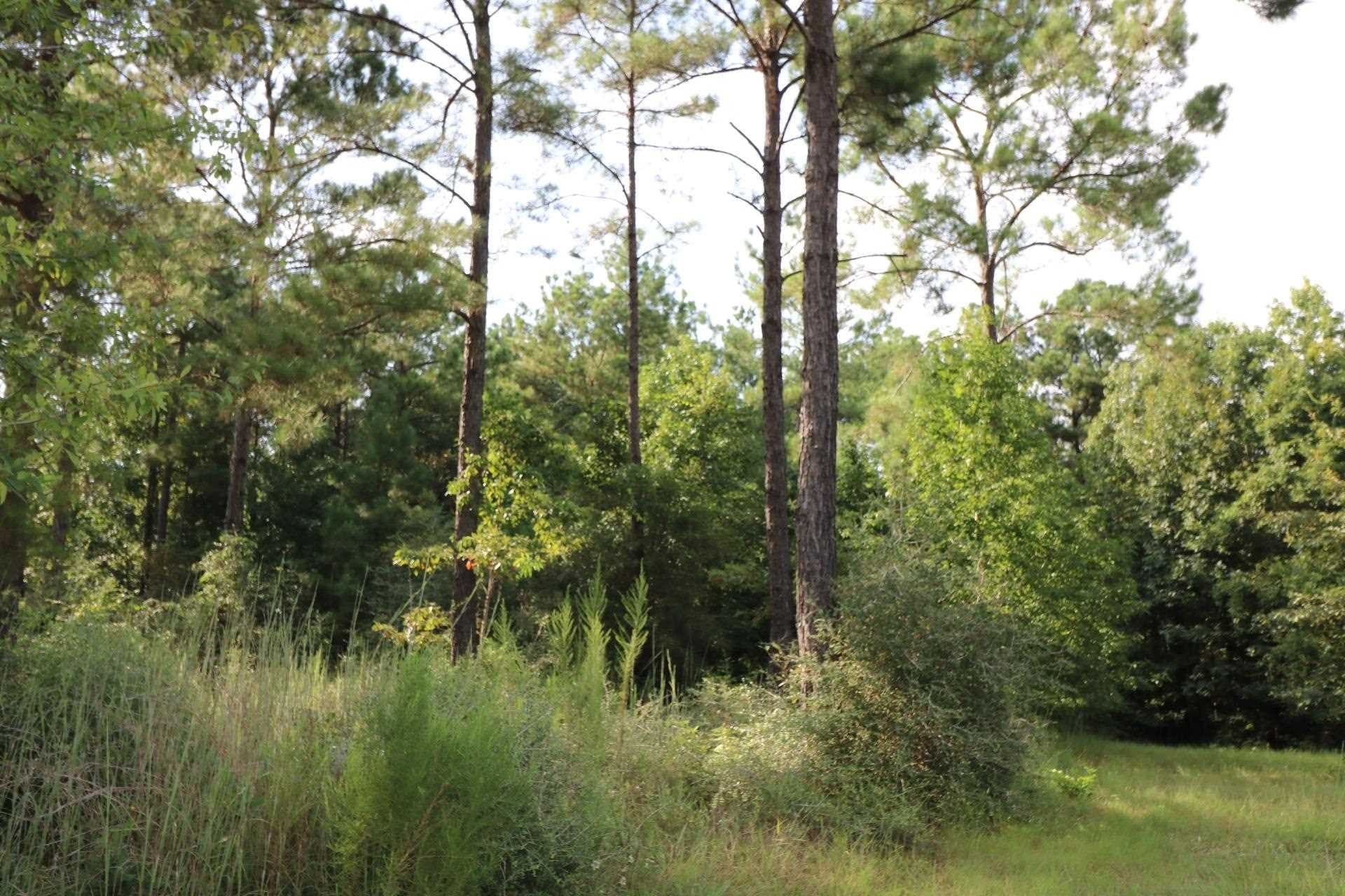 3.6 acres in Texas County