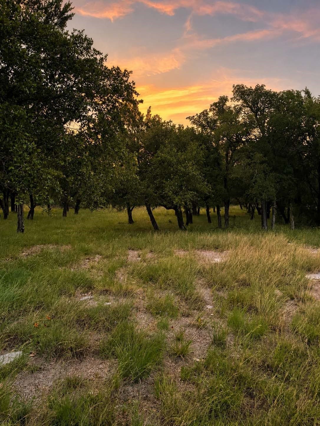 0.23 acres in Burnet County - photo 5