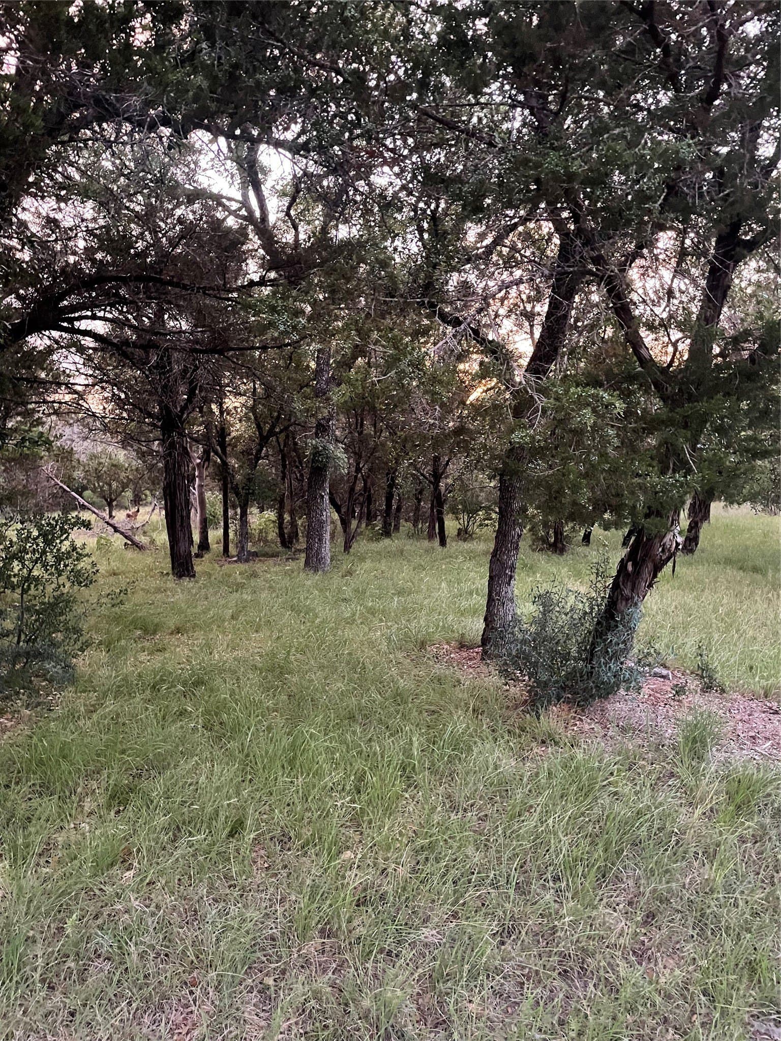 0.23 acres in Burnet County - photo 9