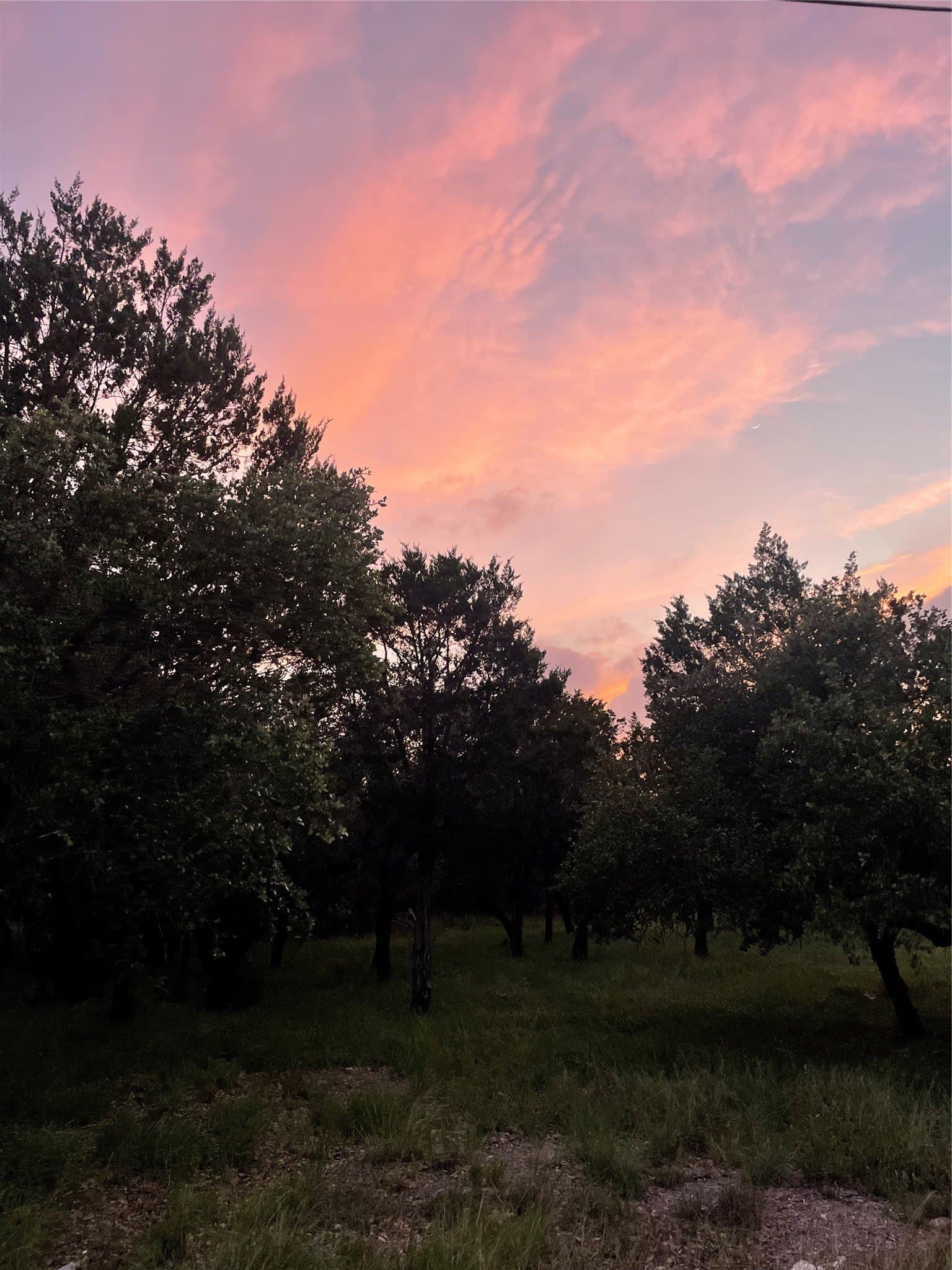 0.23 acres in Burnet County - photo 13