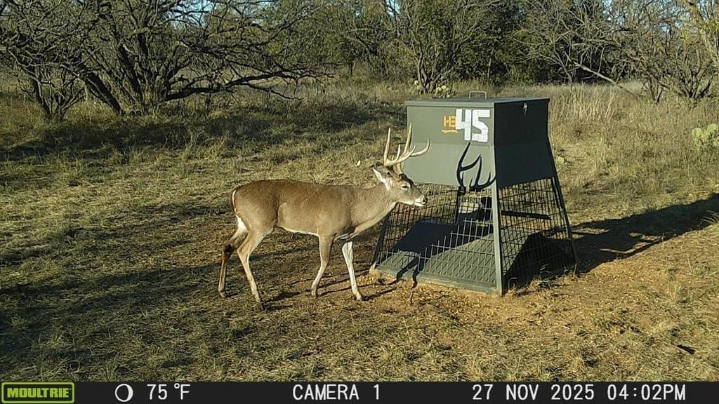 65 acres in Stephens County featured view