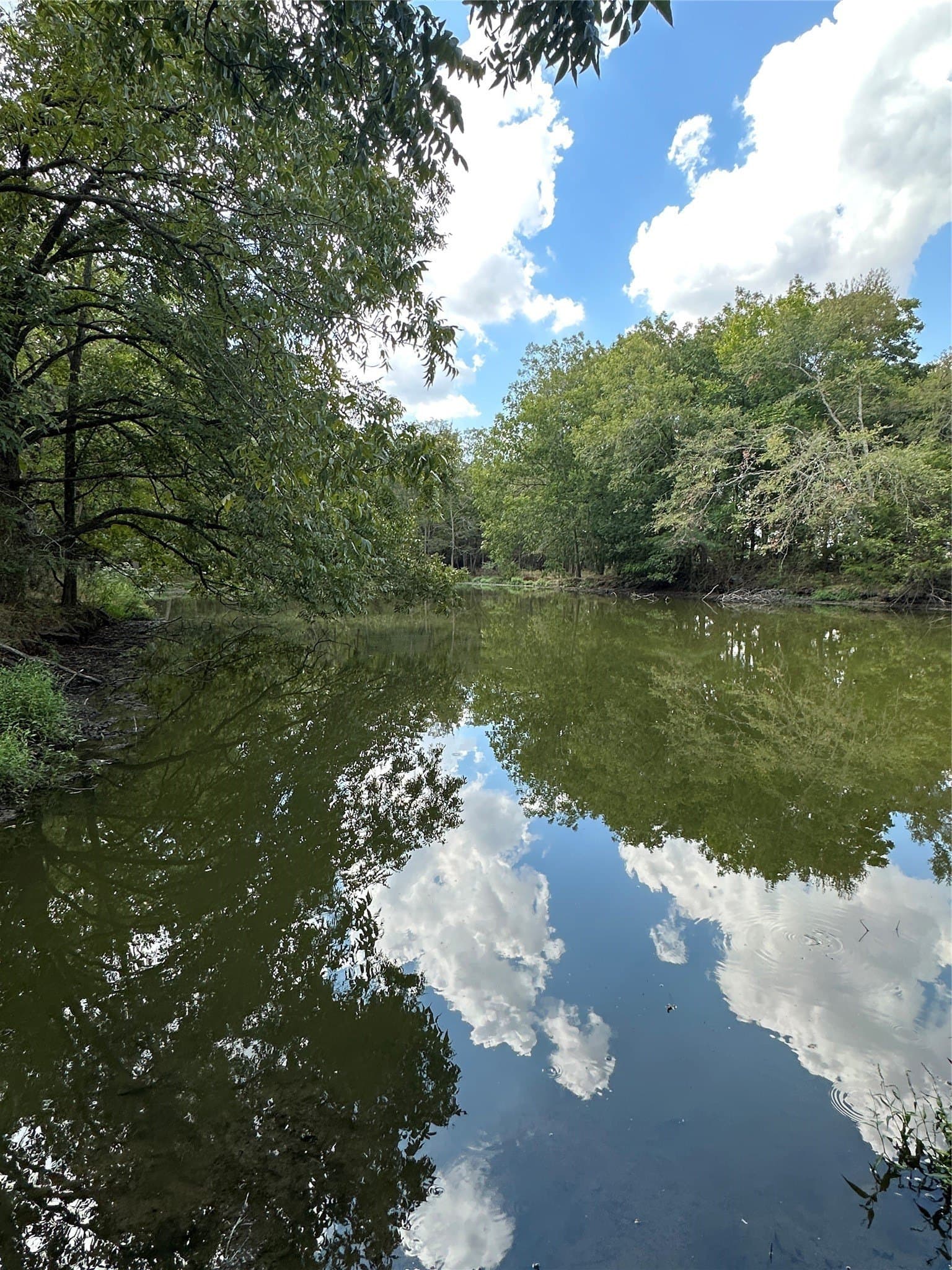 119.8 acres in Robertson County - photo 2