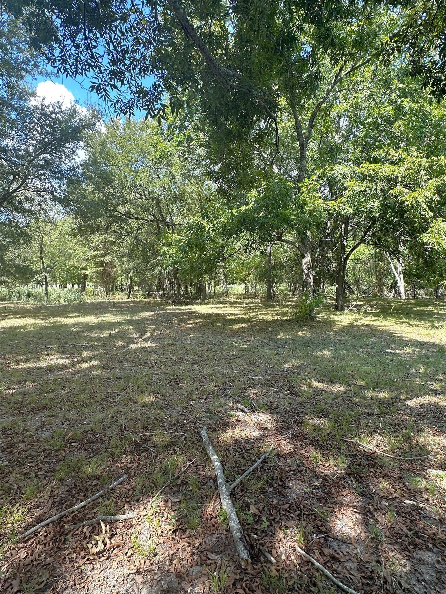 119.8 acres in Robertson County - photo 4
