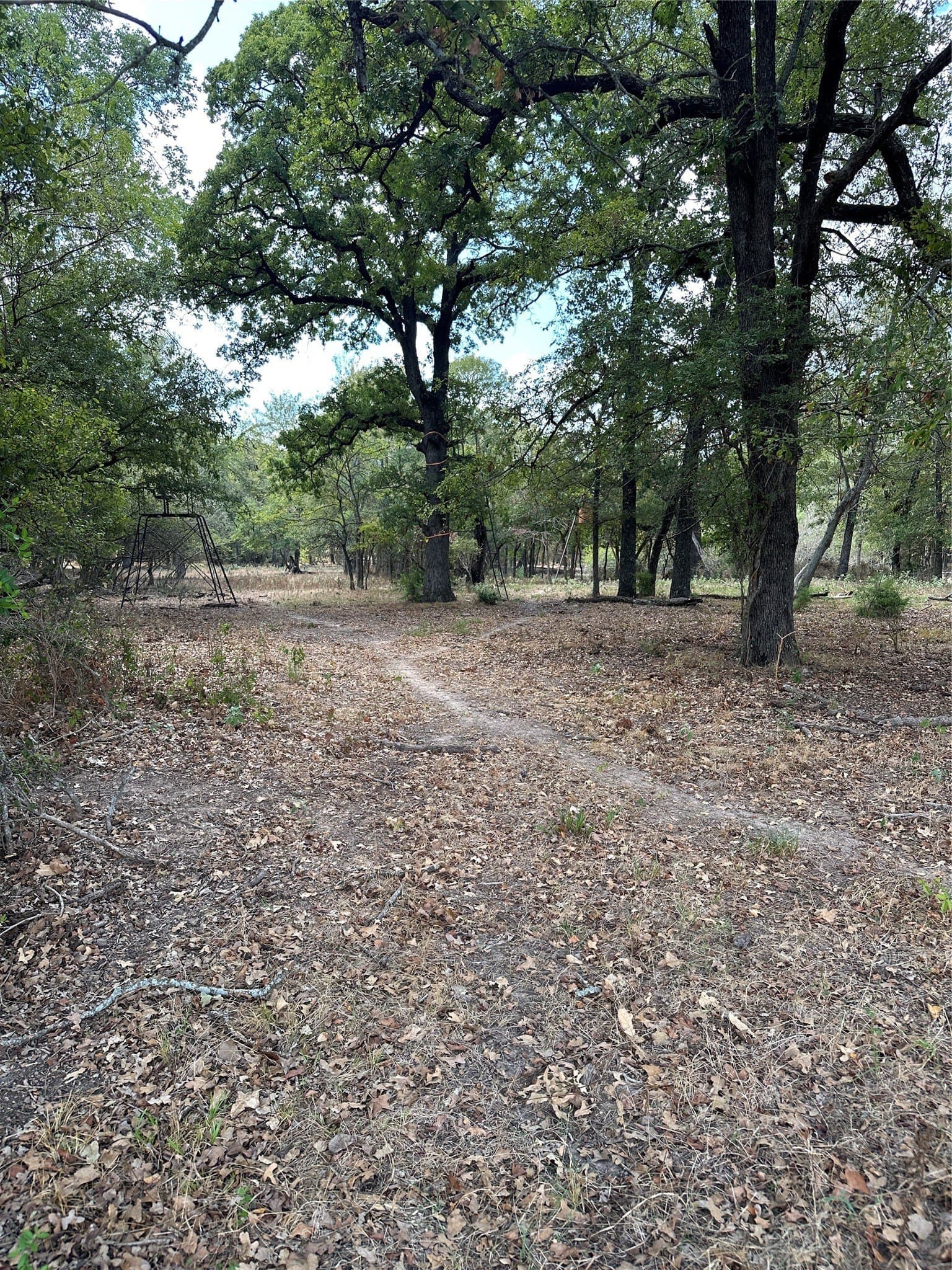 119.8 acres in Robertson County - photo 6