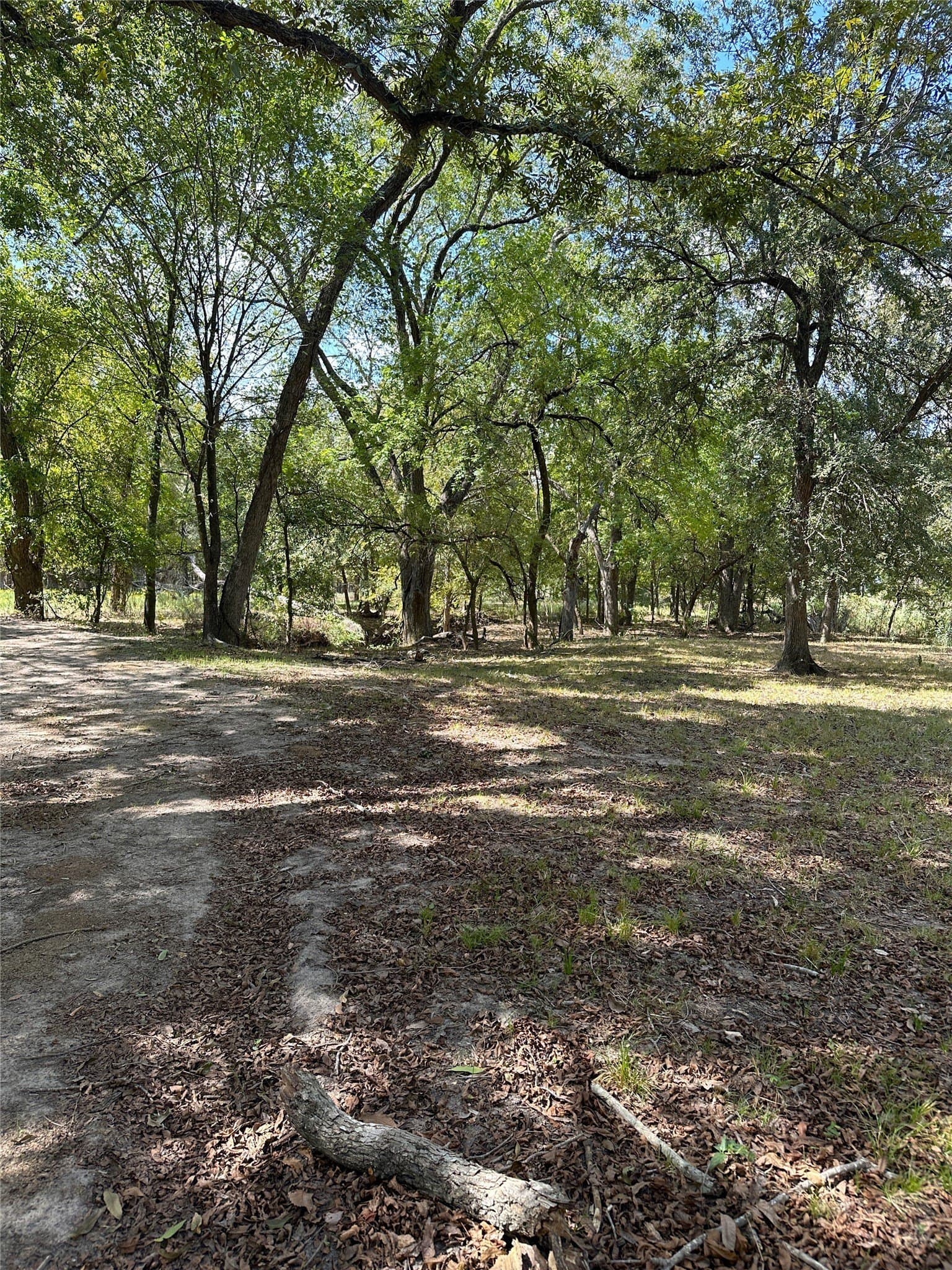 119.8 acres in Robertson County - photo 5