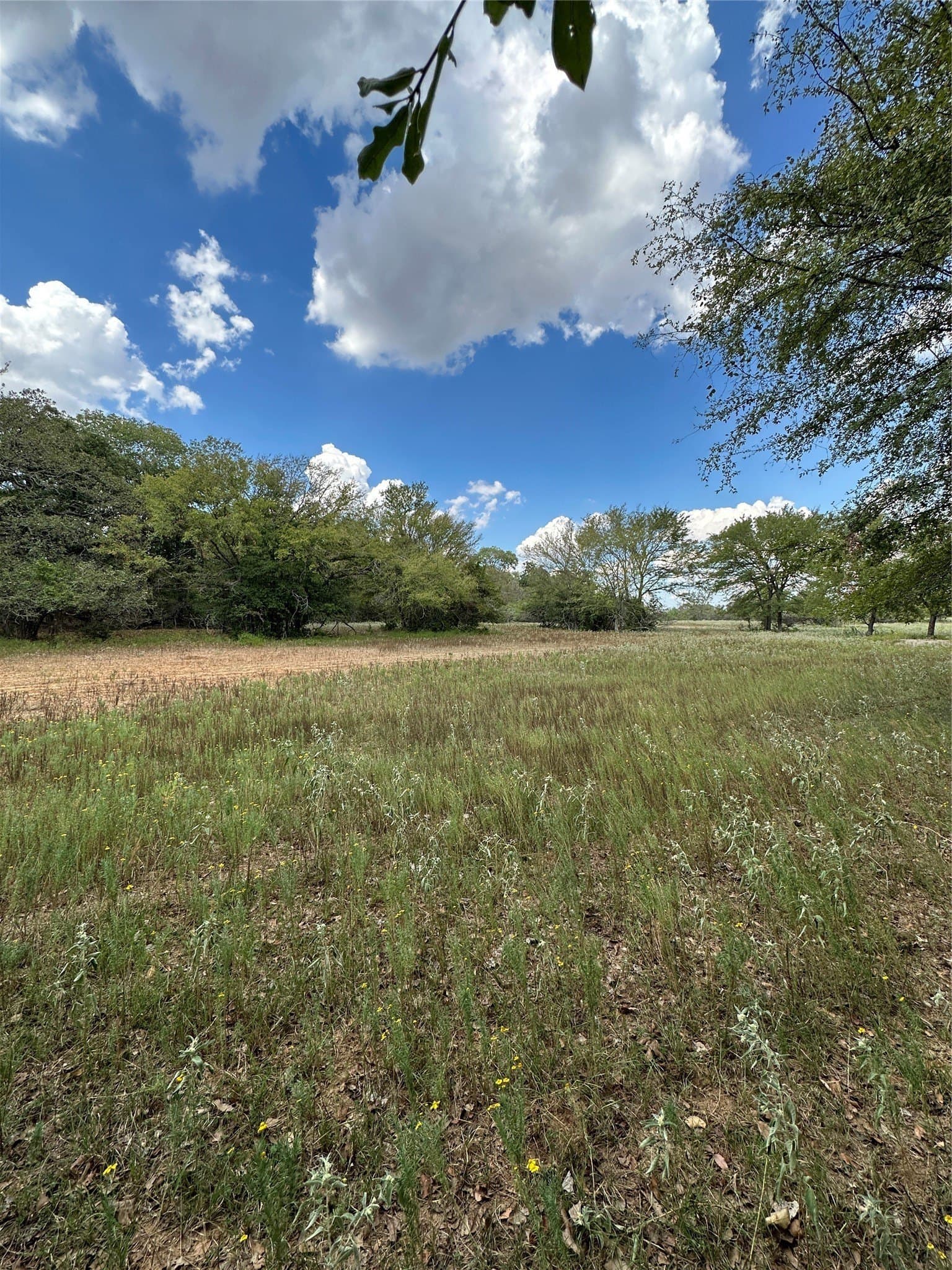 119.8 acres in Robertson County - photo 8