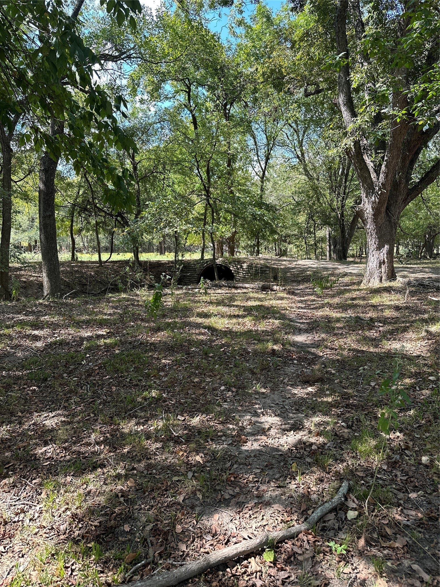 119.8 acres in Robertson County - photo 3