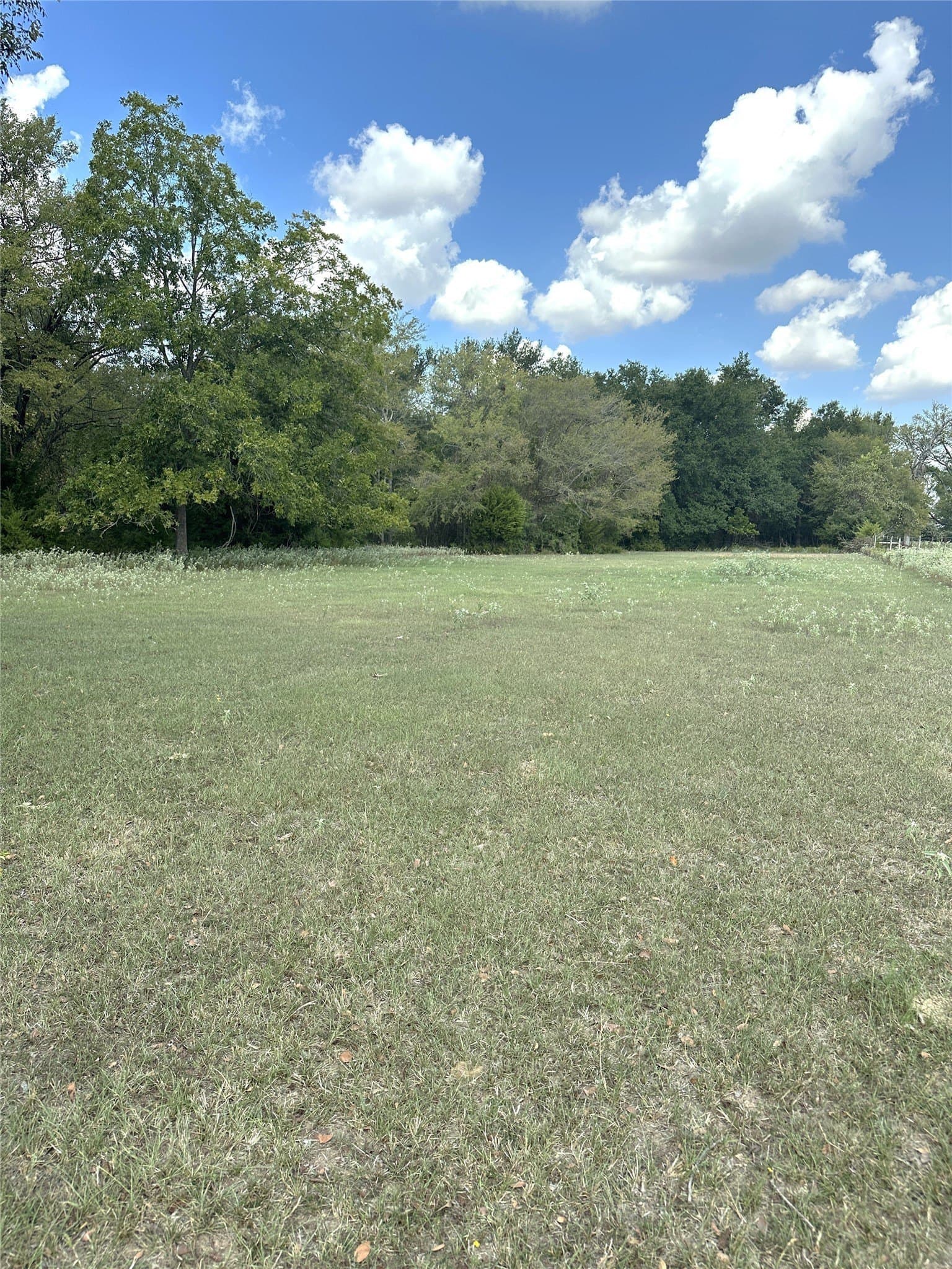 119.8 acres in Robertson County - photo 11