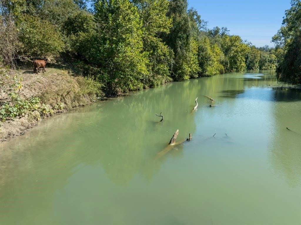 220 acres in Gonzales County - photo 11