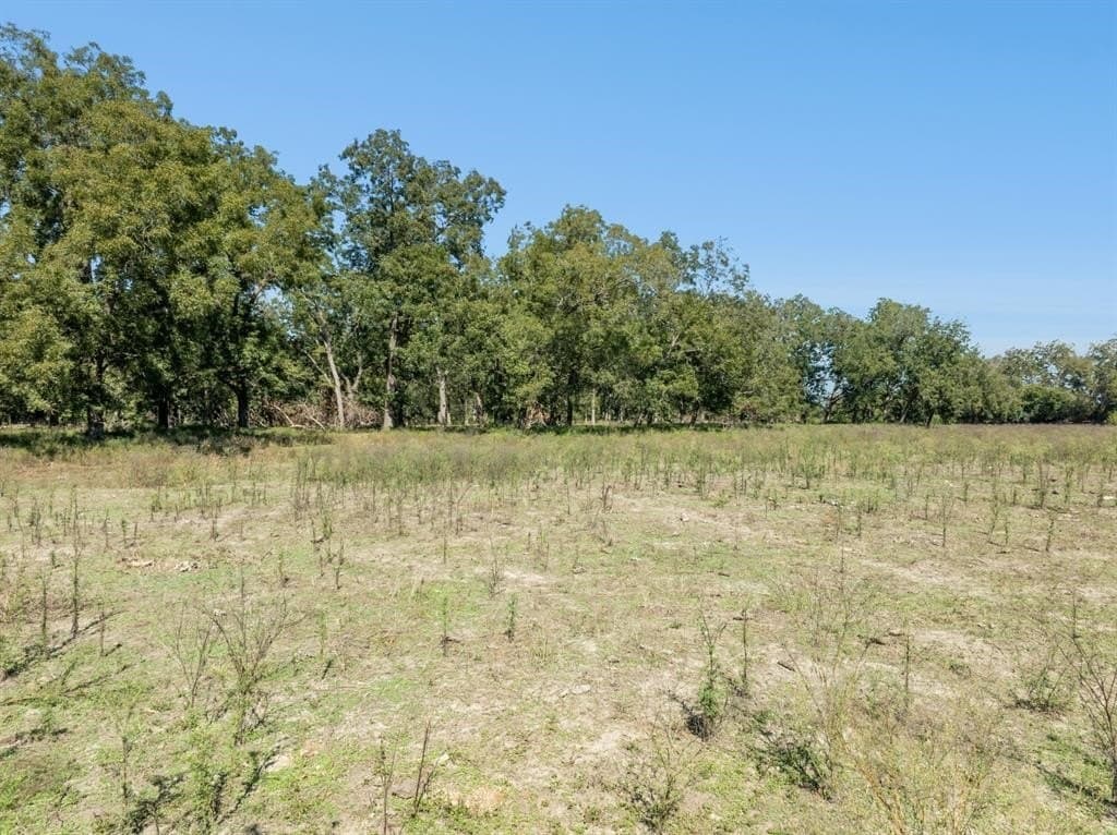220 acres in Gonzales County - photo 7