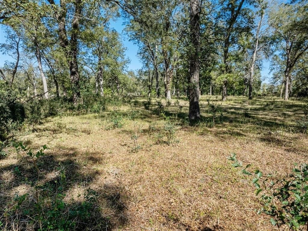 220 acres in Gonzales County - photo 14