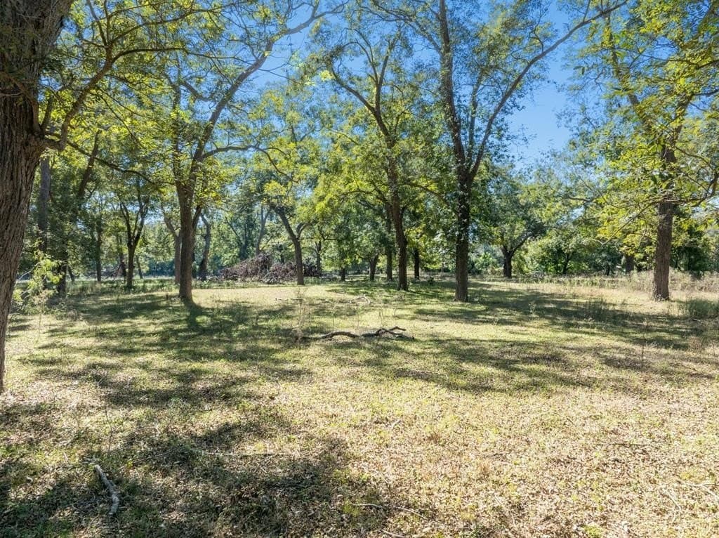 220 acres in Gonzales County - photo 8