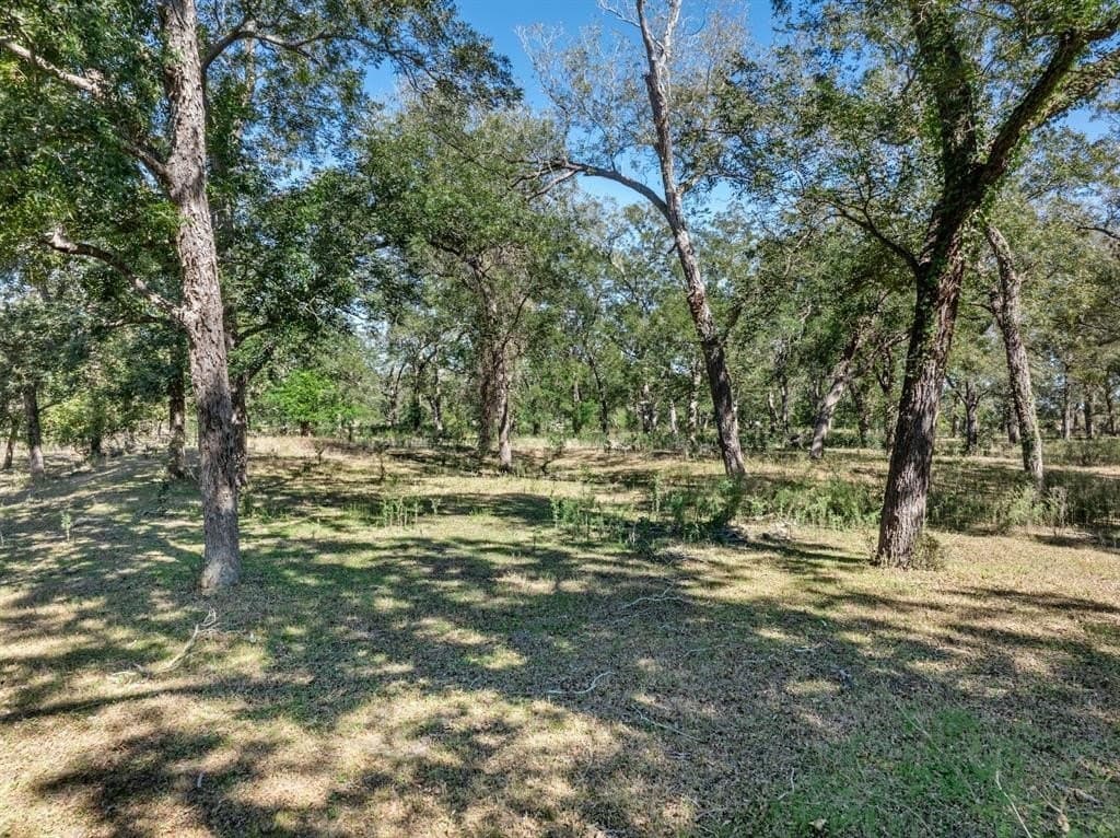 220 acres in Gonzales County - photo 3