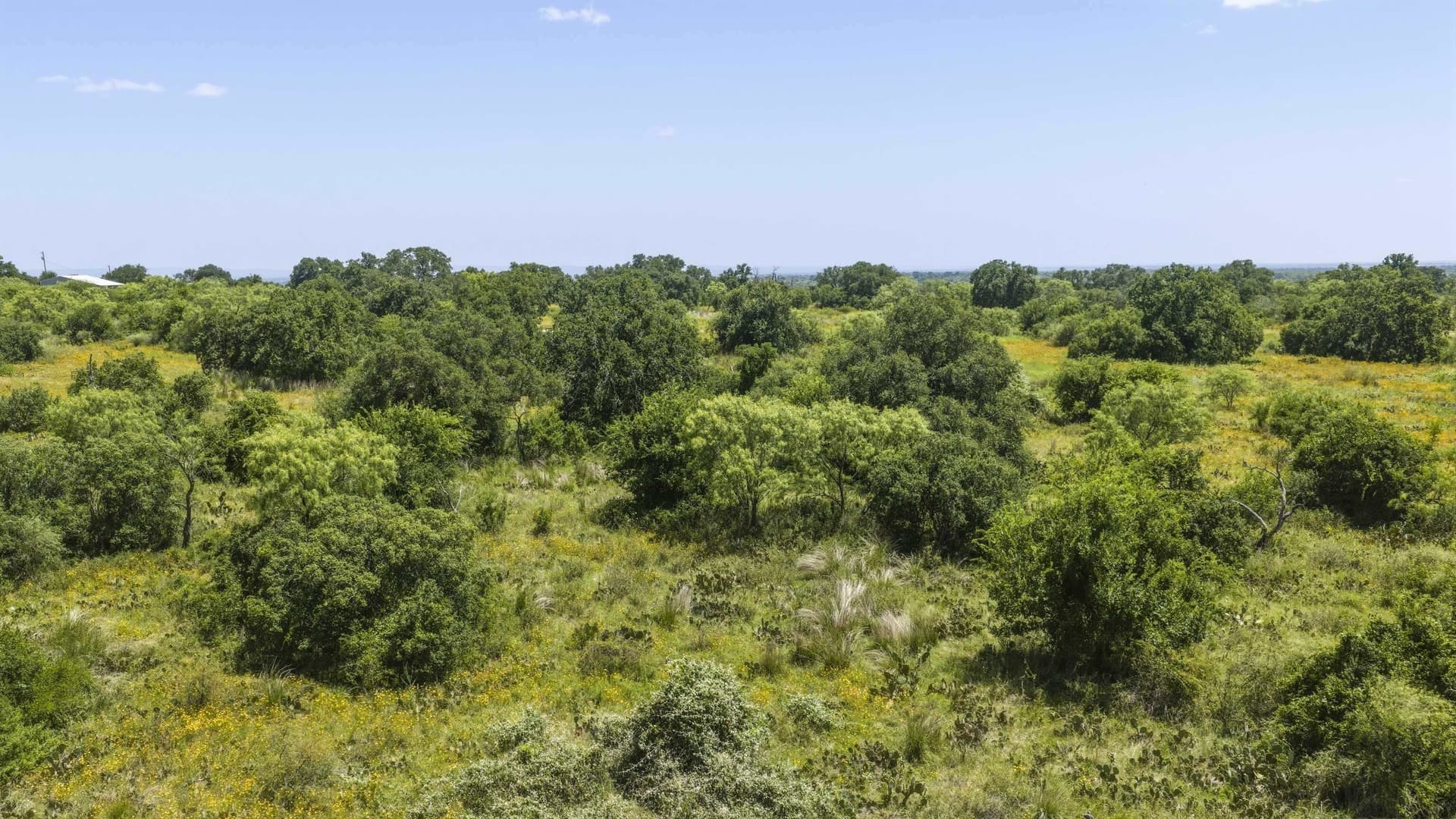 5 acres in Llano County - photo 9
