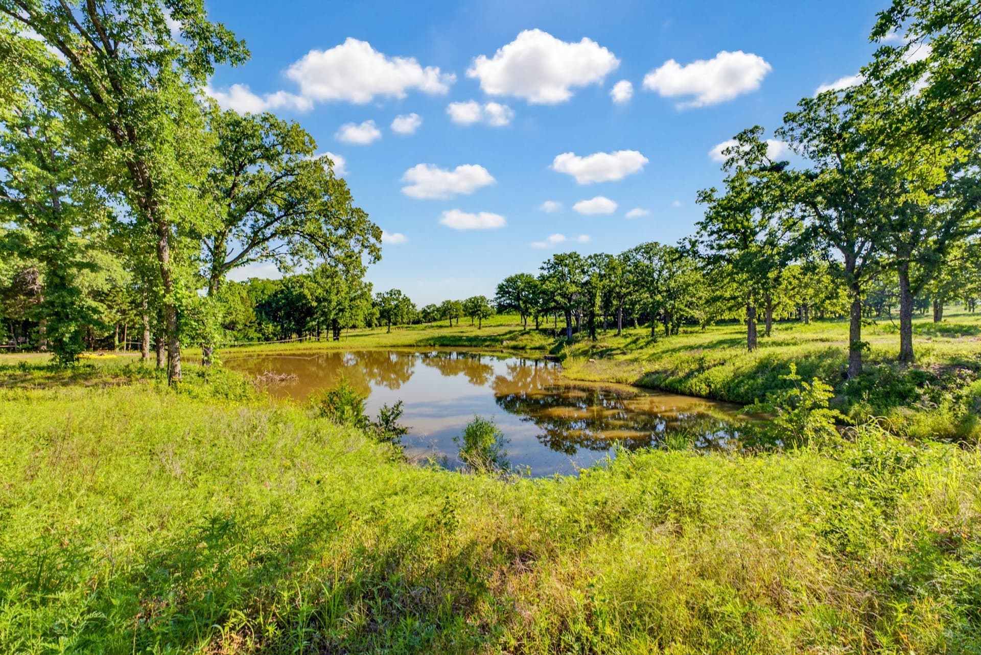 25 acres in Wise County - photo 21