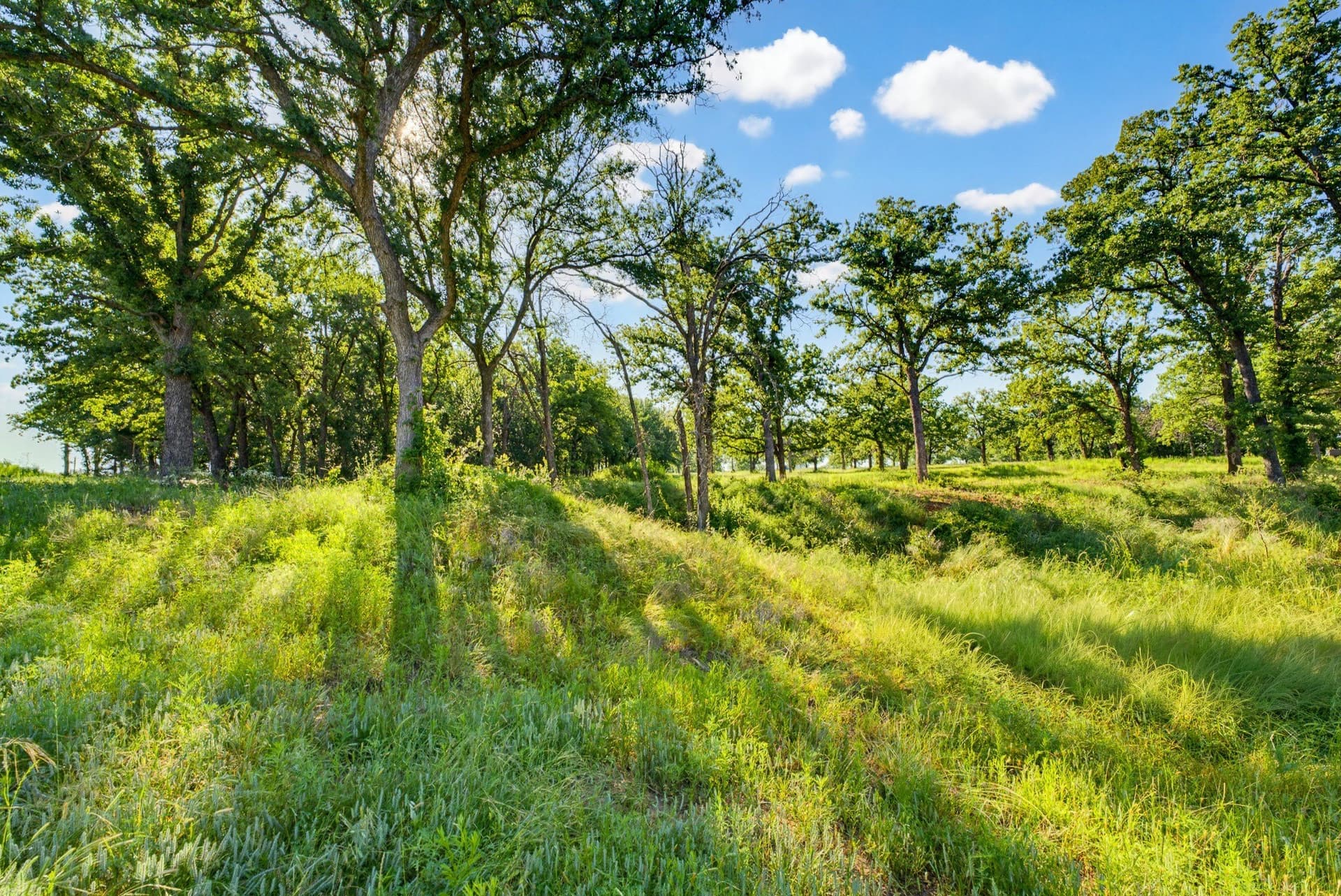 25 acres in Wise County - photo 23