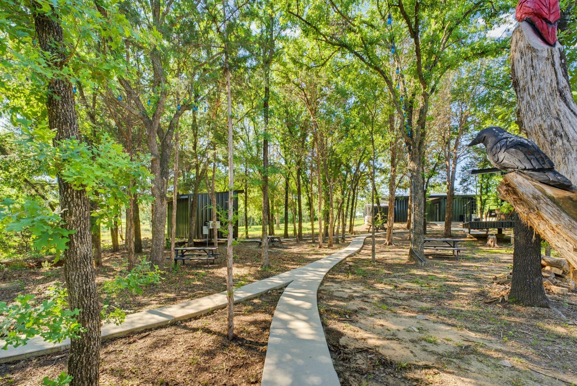 25 acres in Wise County - photo 25