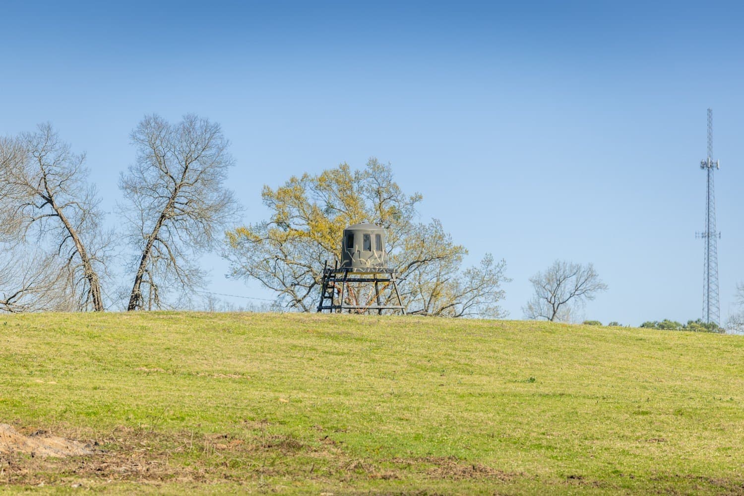 273.13 acres in Gregg County - photo 18