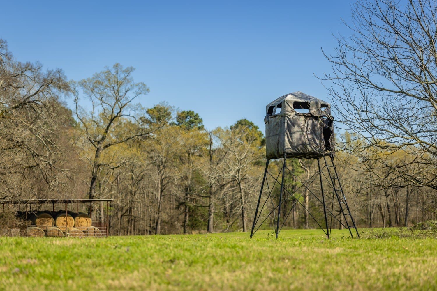 273.13 acres in Gregg County - photo 17