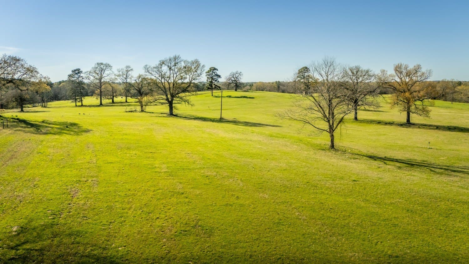 273.13 acres in Gregg County - photo 21