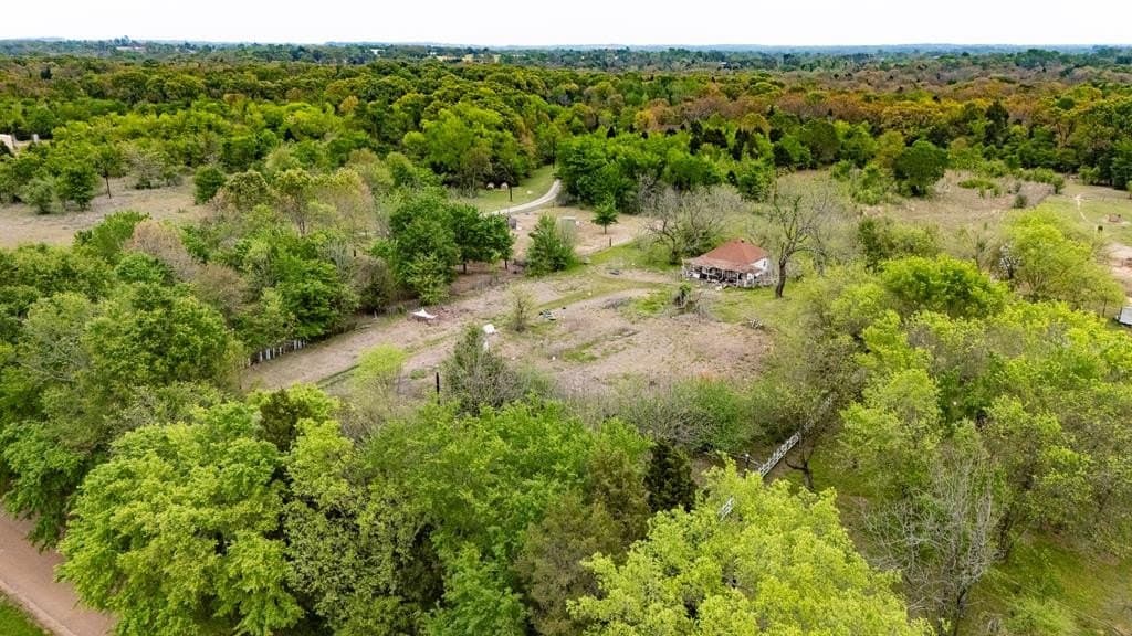 12.05 acres in Henderson County gallery image 3