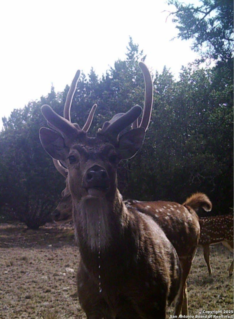 73.84 acres in Edwards County - photo 68