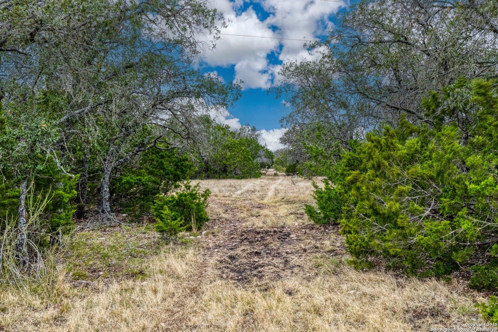 73.84 acres in Edwards County - photo 31